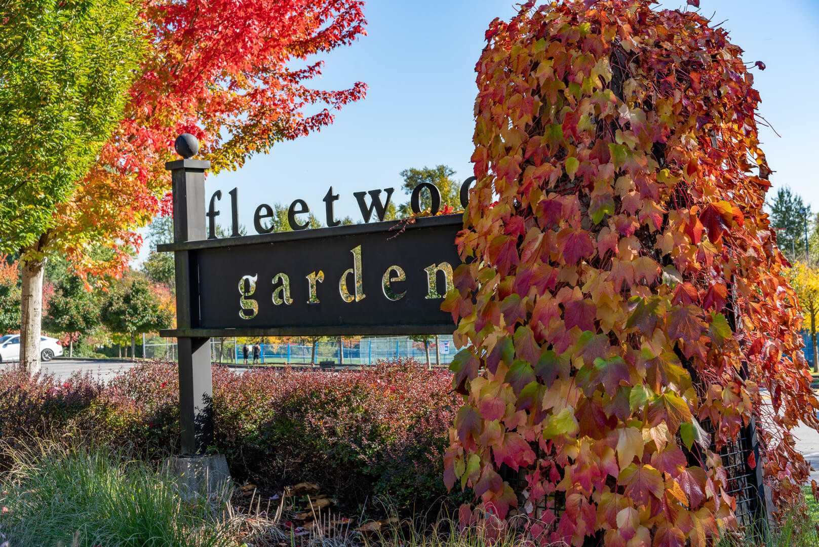 Elwynn_Green_Fleetwood_Area_photography 12 Elwynn_Green_Fleetwood_Area_photography 12