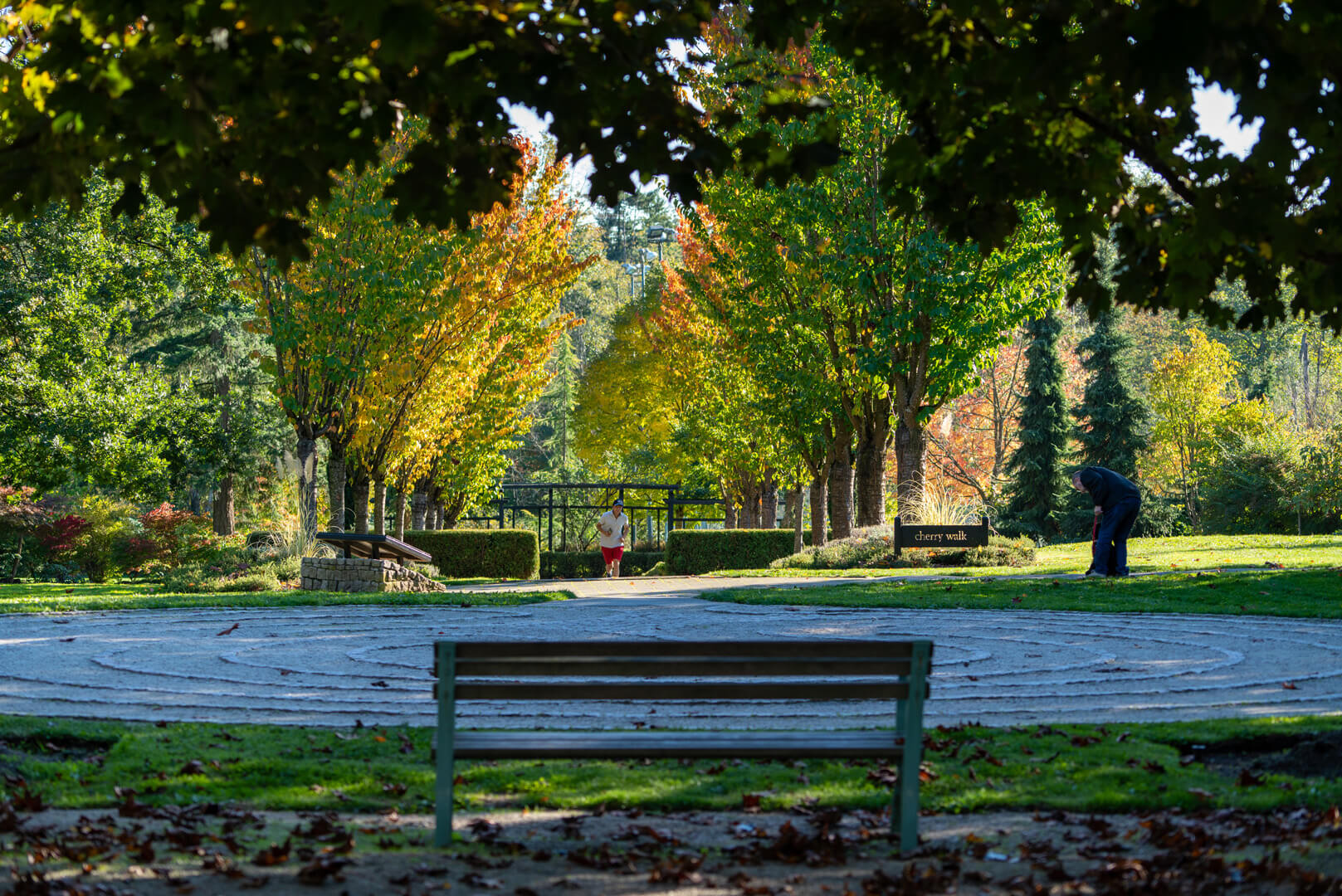 Elwynn_Green_Fleetwood_Area_photography 3 Elwynn_Green_Fleetwood_Area_photography 3