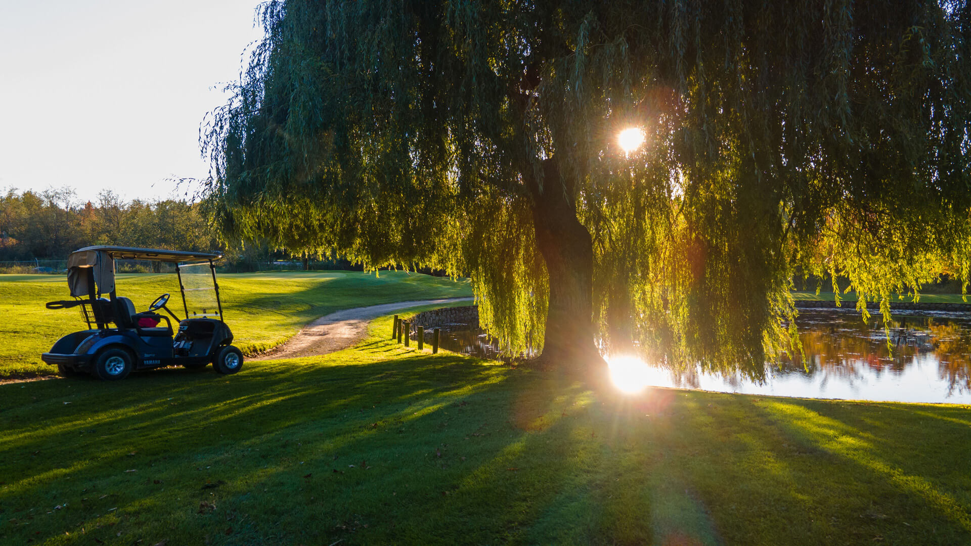 Elwynn_Green_Fleetwood_Area_photography 4 Elwynn_Green_Fleetwood_Area_photography 4