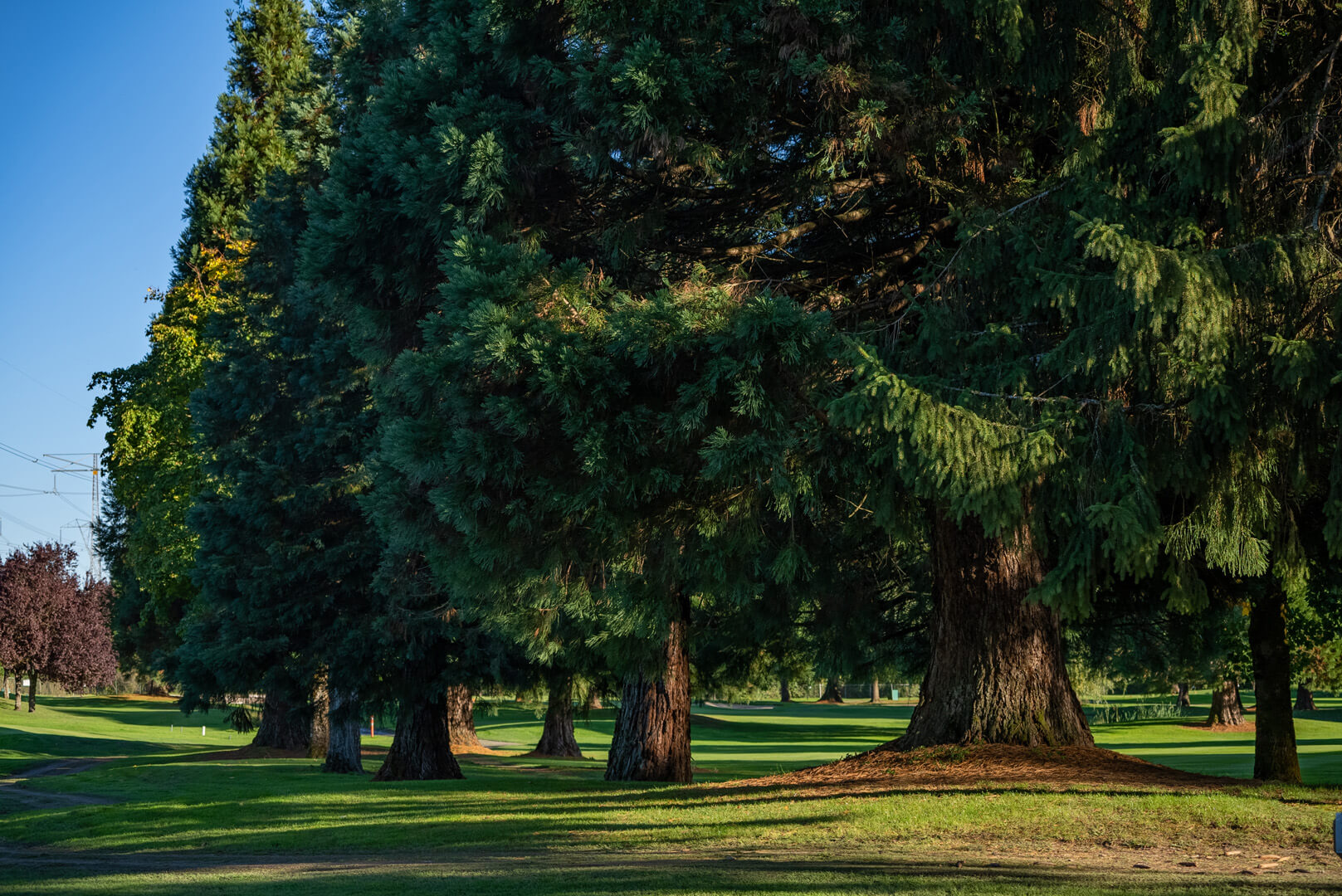 Elwynn_Green_Fleetwood_Area_photography 6 Elwynn_Green_Fleetwood_Area_photography 6